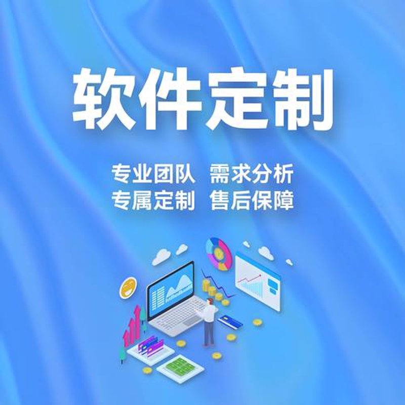 软件开发行业：海南独树一帜的创意先锋